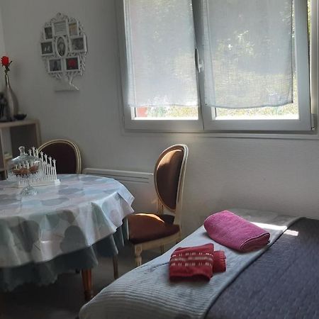 Ravissant Studio Dans Un Cadre Agreable Soultz-Haut-Rhin Екстериор снимка