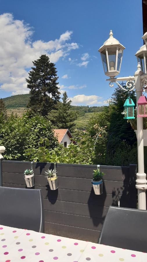 Ravissant Studio Dans Un Cadre Agreable Soultz-Haut-Rhin Екстериор снимка