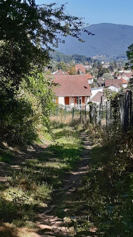 Ravissant Studio Dans Un Cadre Agreable Soultz-Haut-Rhin Екстериор снимка