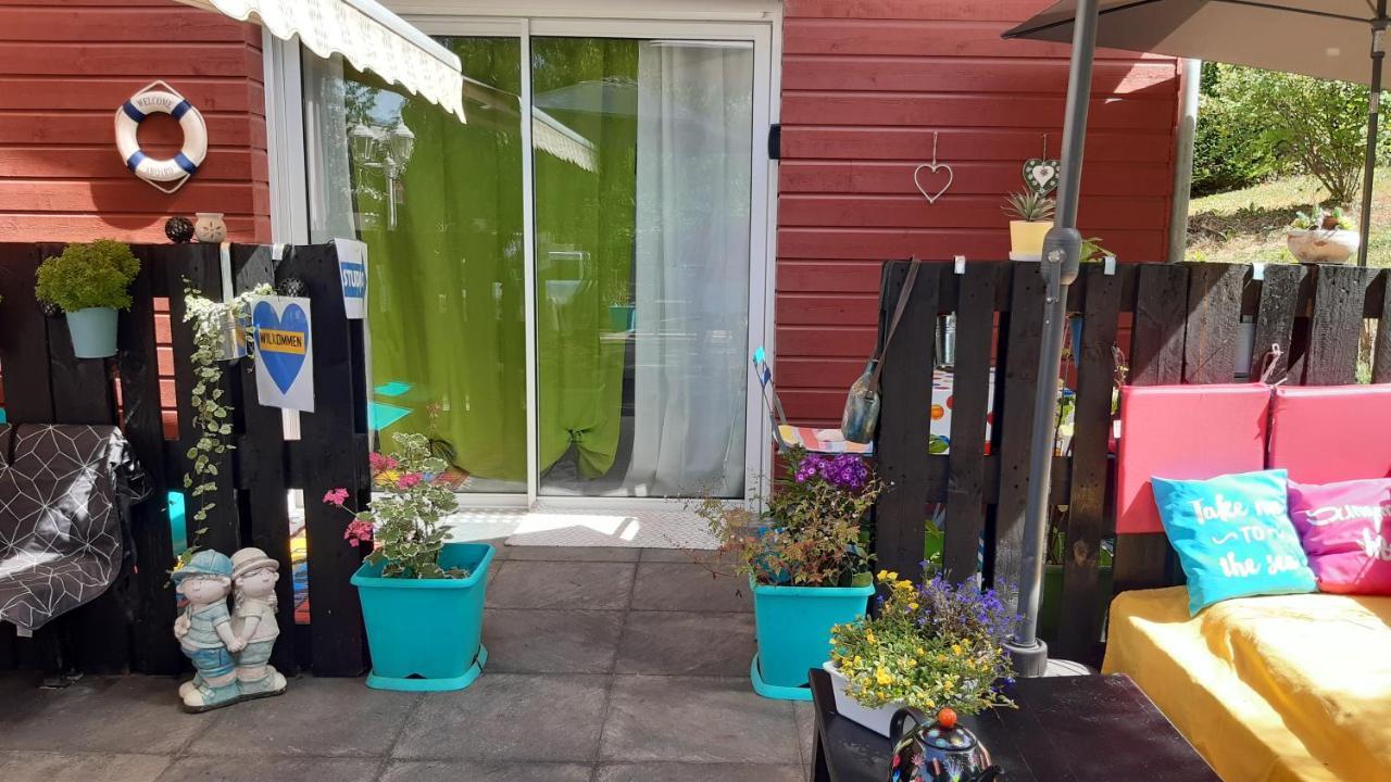 Ravissant Studio Dans Un Cadre Agreable Soultz-Haut-Rhin Екстериор снимка